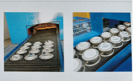 Tungku Listrik Progressive dan Ekonomi untuk Bright Annealing of stainless steel
